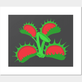 Venus Flytrap Posters and Art